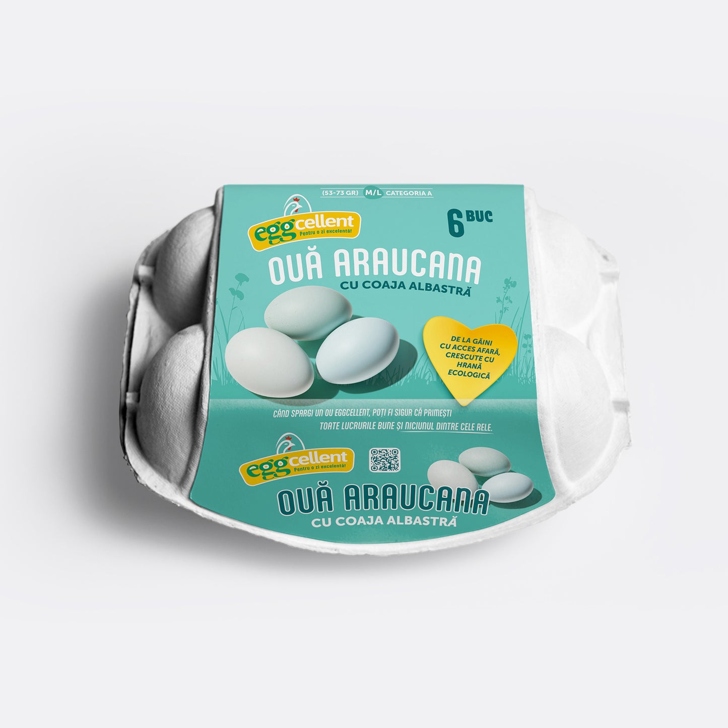 Mockup oua araucana