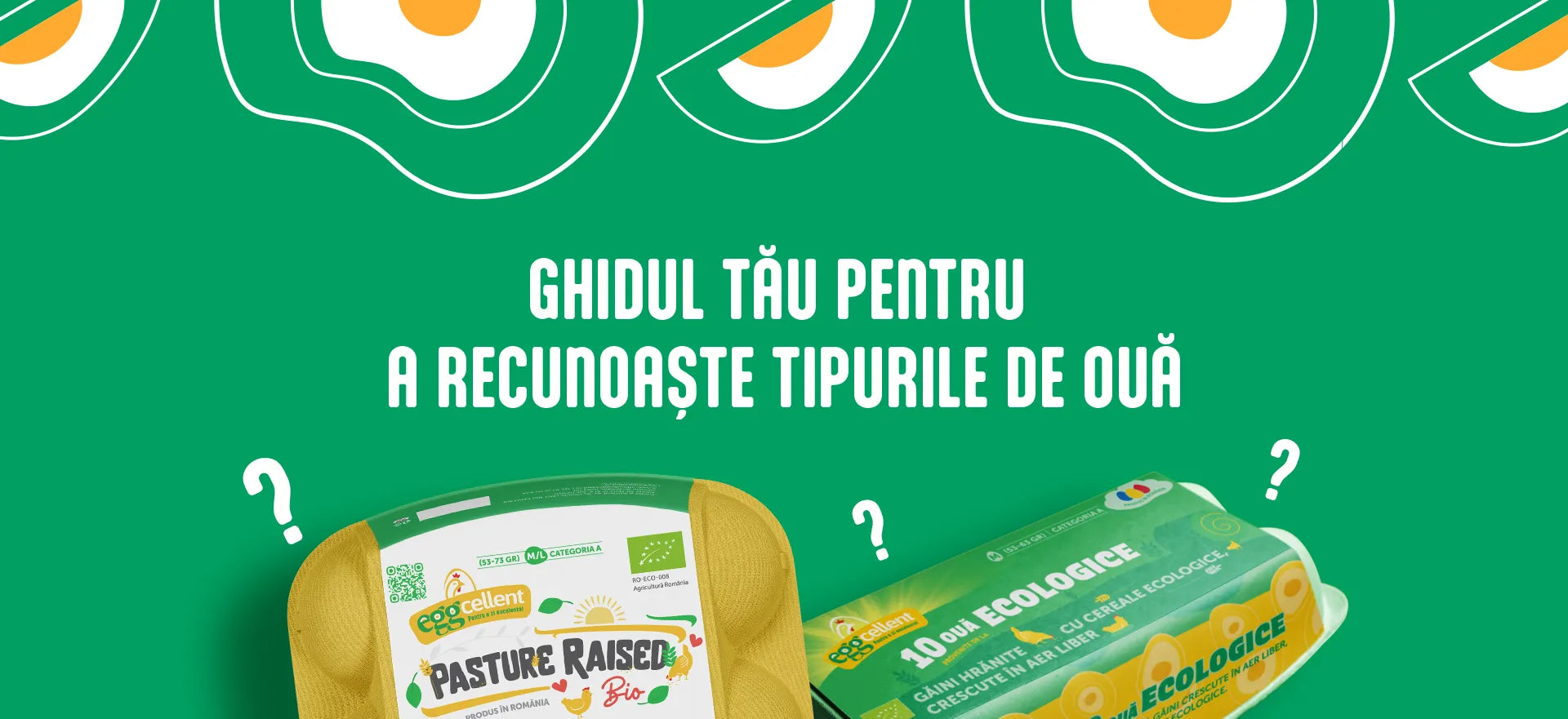 Ghid de ouă, pentru a recunoaște tipurile de ouă după cod.