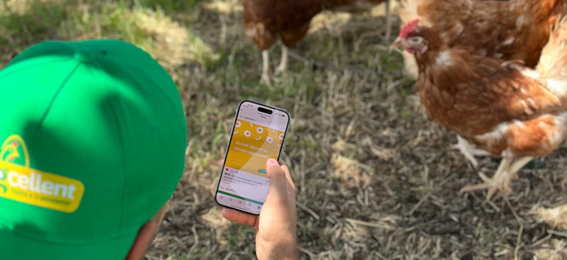 Ce înseamnă „bio” sau „eco” cu adevărat?