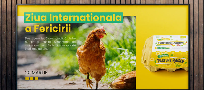 Cum ne influentează alimentația starea de bine