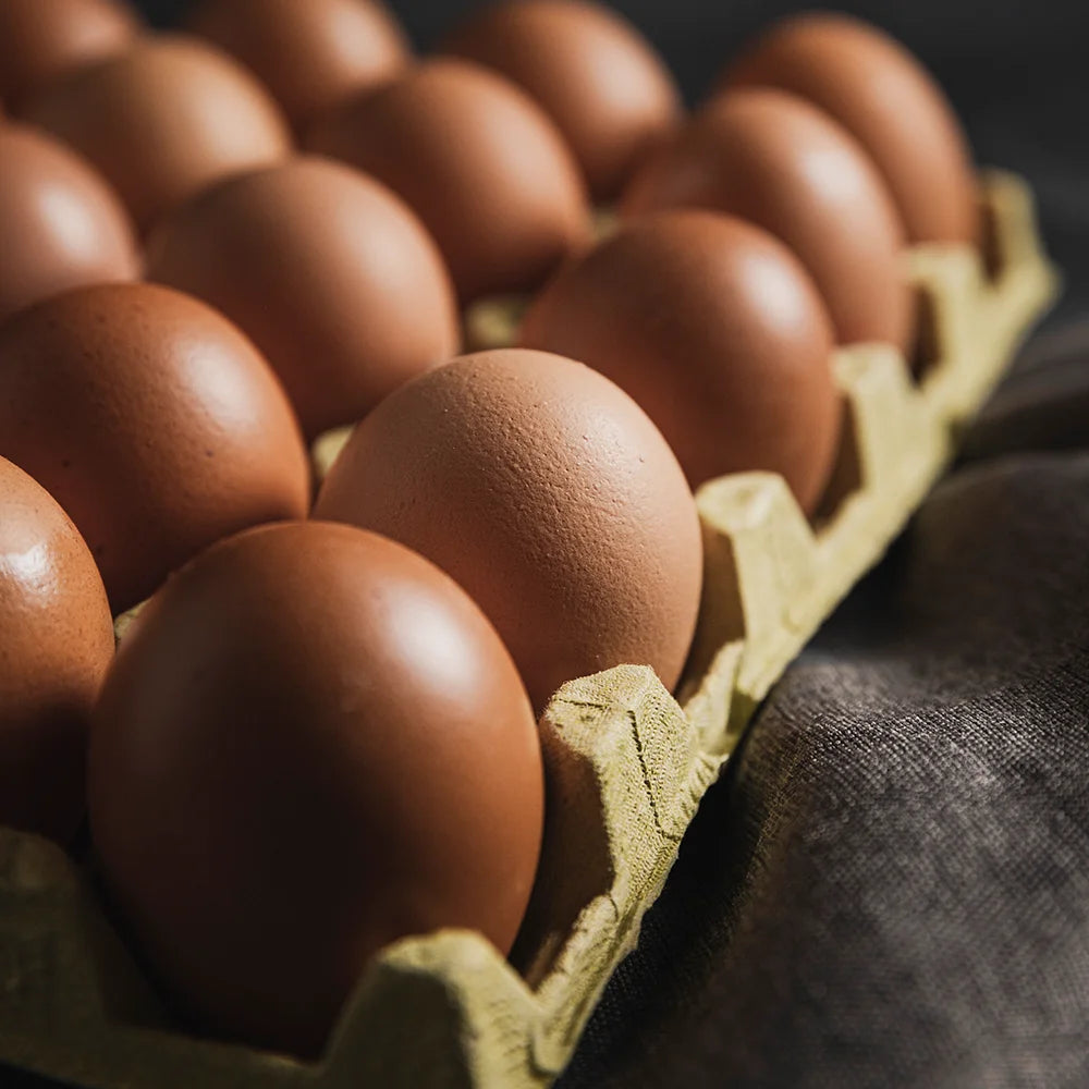 Oua ecologice cofrag pasture raised