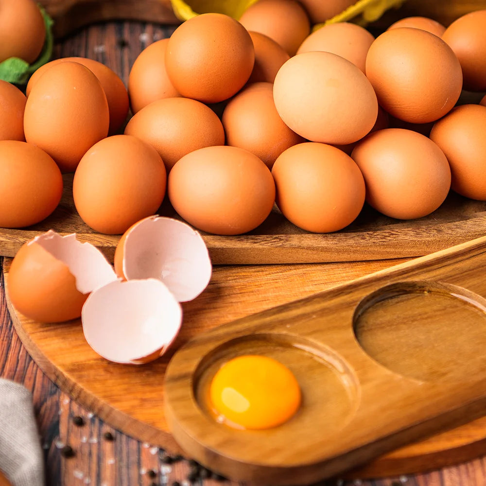 Oua ecologice pasture raised 90