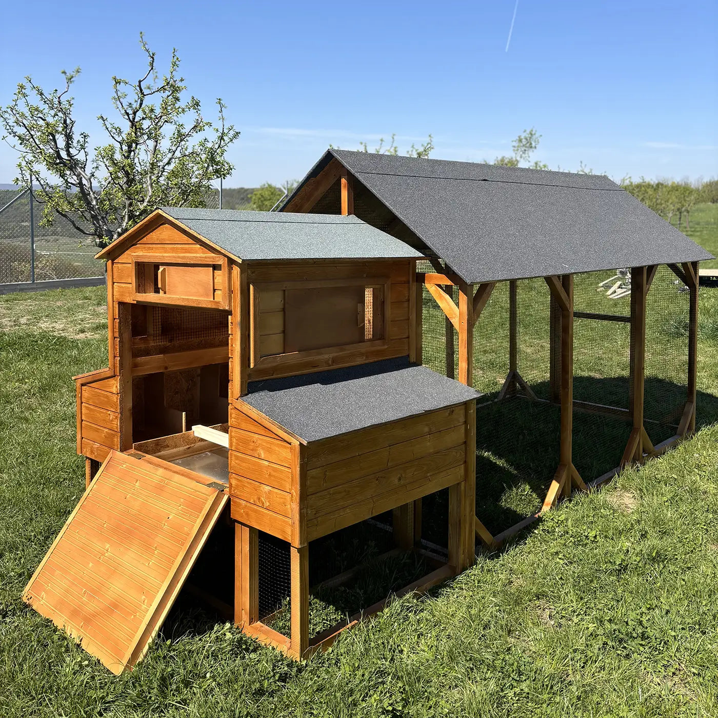 Eggcellent chicken coop 20_1