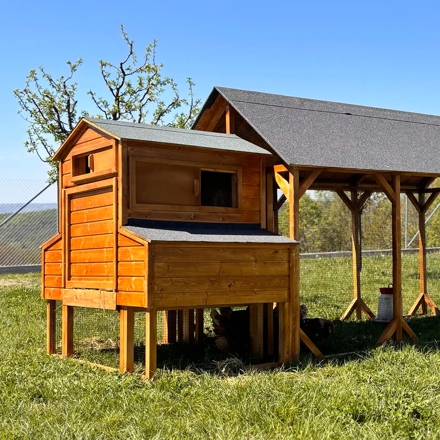 Eggcellent chicken coop 20 starter pack_1