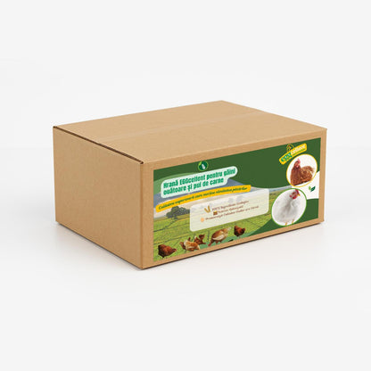 WhatsApp Image 2025-04-09 at 09.01.11