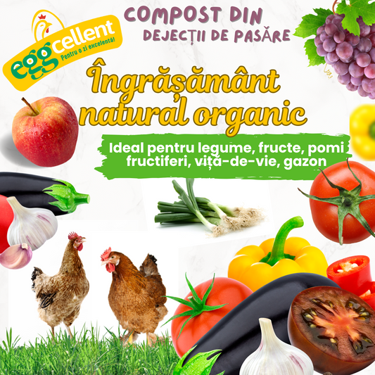 Ingrasamant organic bun