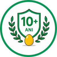 Peste 10 ani experiență